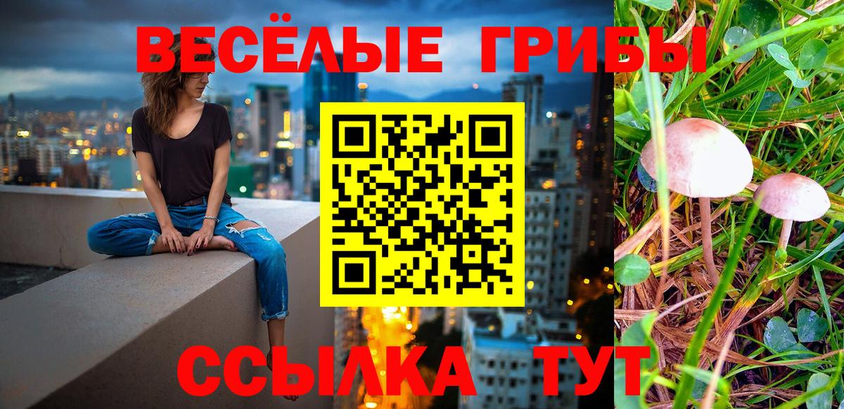 Галлюциногенные грибы прущие грибы  Вход с VPN  Соль-Илецк 