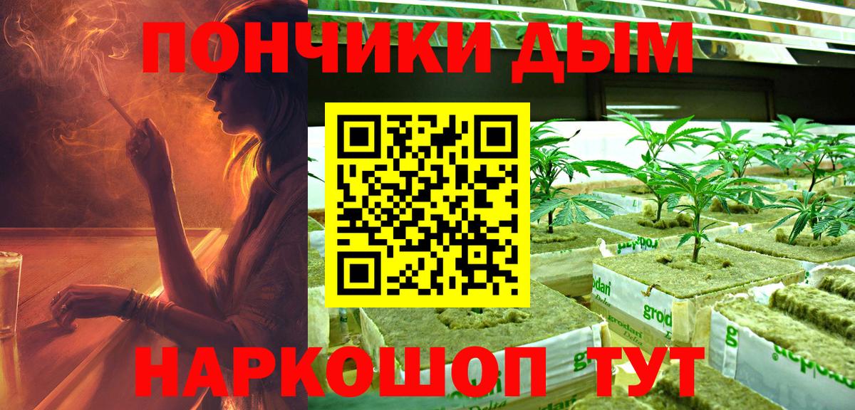 Соль-Илецк  Каннабис OG Kush  Вход с VPN  Каннабис OG Kush  Шишки марихуана сатива  МАРИХУАНА план 